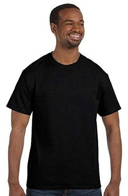 Hanes Comfortblend Ecosmart Men's T-Shirt